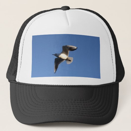 Dwergmeeuw Trucker Pet (Voorkant)