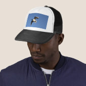 Dwergmeeuw Trucker Pet (In situ)
