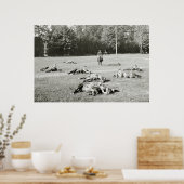 Dwergpaarden, 1900 poster (Keuken)