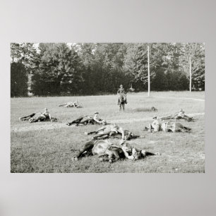 Dwergpaarden, 1900 poster