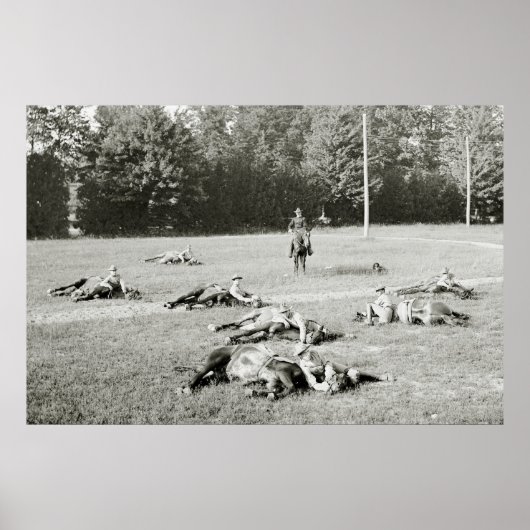 Dwergpaarden, 1900 poster (Voorkant)
