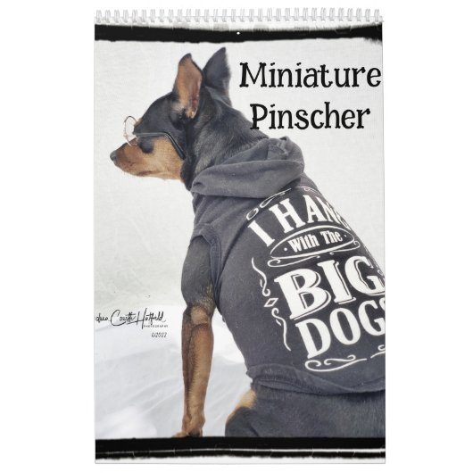 Dwergpinscher Eén Kalender (Hoes)