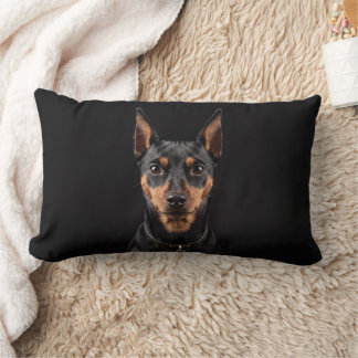 Dwergpinscher geïsoleerd op zwarte achtergrond kussen