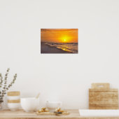 Dwergsternen op het Strand, Money Bayou Beach, Flo Poster (Keuken)
