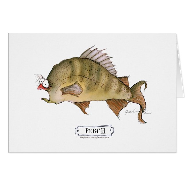 Dwergvis, tongfernandes (Voorkant Horizontaal)