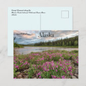 Dwergvuurkruid langs de Beaver Creek River Alaska Briefkaart (Voorkant / Achterkant)