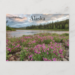 Dwergvuurkruid langs de Beaver Creek River Alaska Briefkaart