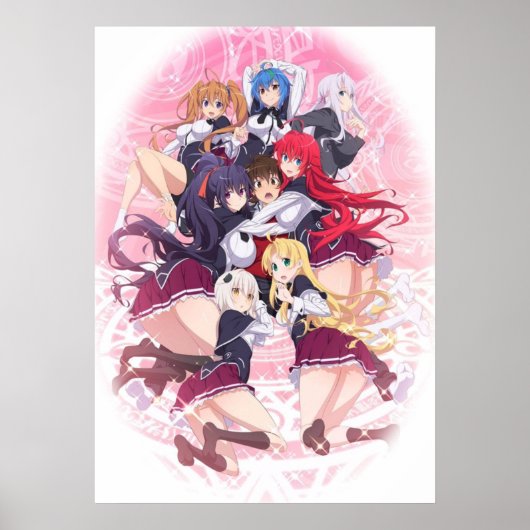 DxD Poster (Voorkant)
