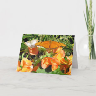 Dyas Julia en White Peacock Butterflies Greeting Kaart