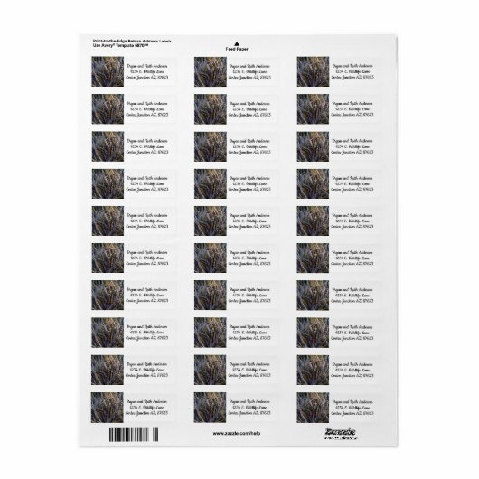 Dyckia delight etiket (Full Sheet)