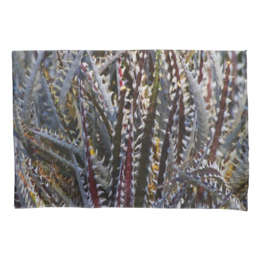 Dyckia delight kussensloop (Voorkant-Links)