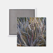 Dyckia delight magneet (Voorkant / Achterkant)