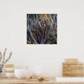 Dyckia delight poster (Keuken)