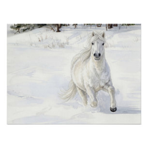 Dyfra het IJslandse paard galopperend in de sneeuw Perfect Poster