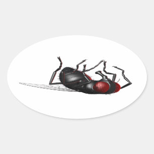 Dying Fly Ovale Sticker
