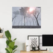 Dying Forest in Fog Poster (Thuiskantoor)