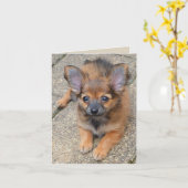 Dylan Schattige Lang Haar Chihuahua Puppy Verjaard Kaart (Gele Bloem)
