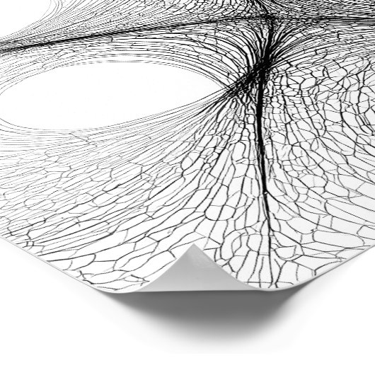 Dynamic Warp Field Decoupage Template Line Art Poster (Hoek)