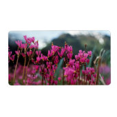 Dynamische afzuigsterren etiket (Voorkant)