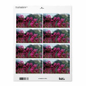 Dynamische afzuigsterren etiket (Full Sheet)