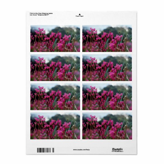 Dynamische afzuigsterren etiket (Full Sheet)