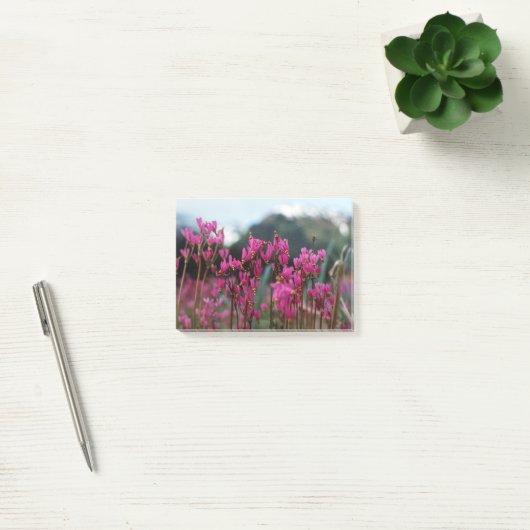 Dynamische afzuigsterren post-it® notes (Kantoor)