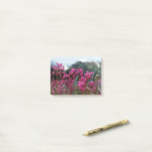 Dynamische afzuigsterren post-it® notes (Op bureau)