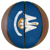 Dynamische Louisiana de Grafische Vlag van de Staa Mini Basketbal (Verticaal)