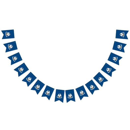 Dynamische Louisiana de Grafische Vlag van de Staa Vlaggetjes (Alle)