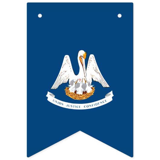 Dynamische Louisiana de Grafische Vlag van de Staa Vlaggetjes (Eerste vlag)