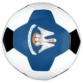 Dynamische Louisiana de Grafische Vlag van de Staa Voetbal (Gedraaid)