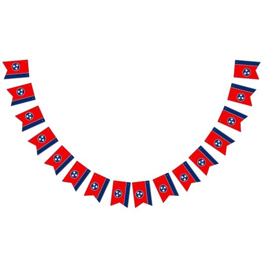 Dynamische Tennessee State Flag Graphic op a Vlaggetjes (Alle)