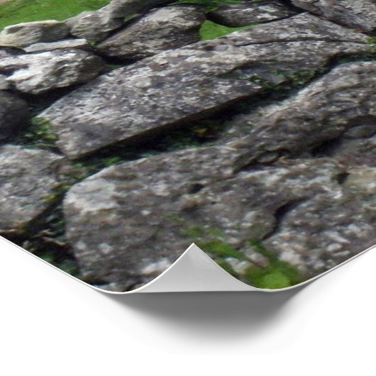 Dysert O'Dea Castle Poster (Hoek)