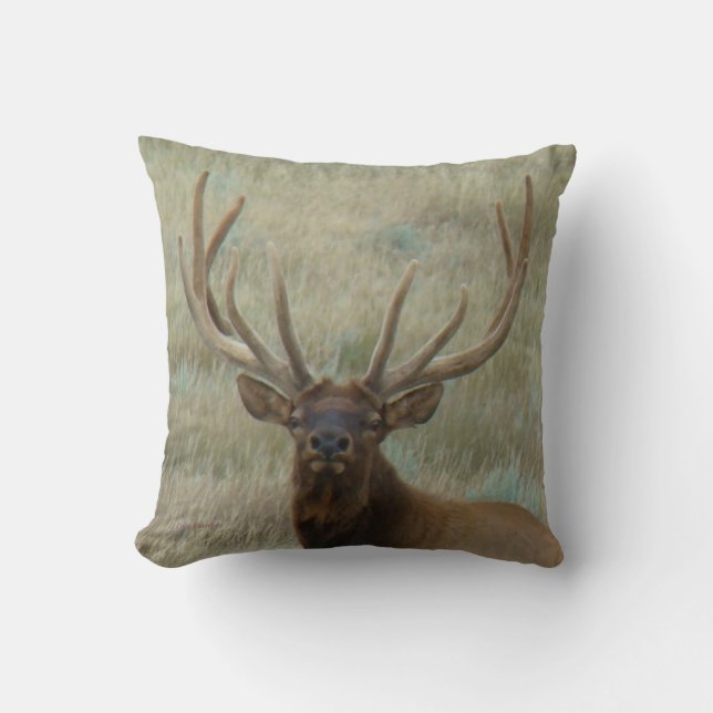 E10 Bull Elk in Fluwelen Gewei Kussen (Voorkant)