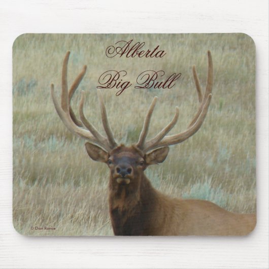 E10 Bull Elk in Fluwelen Gewei Muismat (Voorkant)