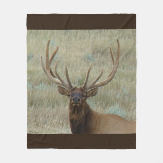 E10 Bull Elk in Fluwelen Kopschot Fleece Deken (Voorkant)