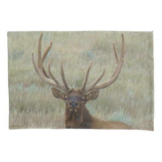 E10 Bull Elk in Fluwelen Kopschot Kussensloop (Voorkant)