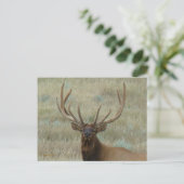 E10 Bull Elk in Velvet Head Shot Briefkaart (Staand voorkant)