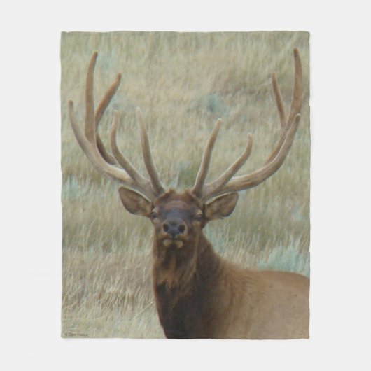 E10 Bull Elk in Velvet Head Shot Fleece Deken (Voorkant)