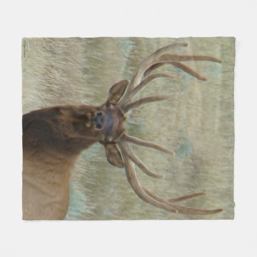 E10 Bull Elk in Velvet Head Shot Fleece Deken (Voorkant (Horizontaal))