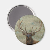 E10 Bull Elk in Velvet Head Shot Magneet (Voorkant / Achterkant)
