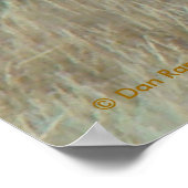 E10 Bull Elk in Velvet Head Shot Poster (Hoek)