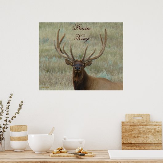 E10 Bull Elk in Velvet Head Shot Poster (Keuken)