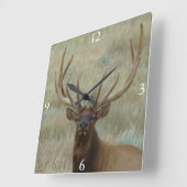 E10 Bull Elk in Velvet Head Shot Vierkante Klok (Hoek)