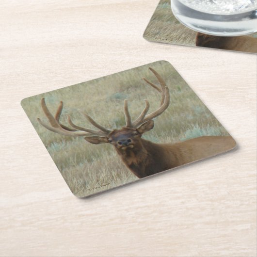 E10 Bull Elk in Velvet Kartonnen Onderzetters (Schuin)