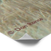 E10 Bull Elk in Velvet Poster (Hoek)