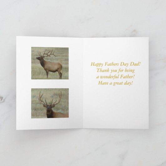 E10 de Elanden van de Stier in het HoofdSchot van Kaart (Binnen)