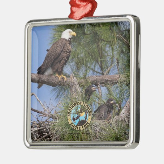 E10 E11 & Family Holiday Ornament (Links)