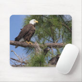 E10- en E11-computerMuismat Muismat (Met muis)