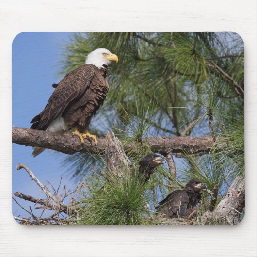 E10- en E11-computerMuismat Muismat (Voorkant)